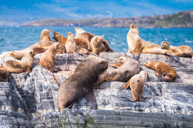 Beagle Channel: the postcard of Ushuaia