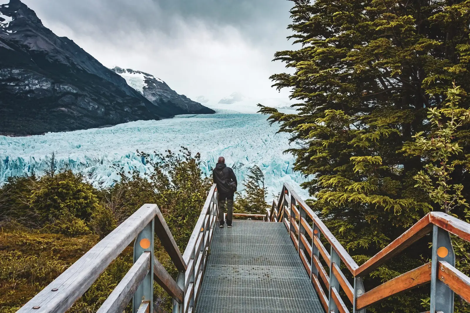 A walkway through the trees towards the glacier
