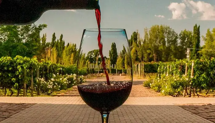 Red wine poured into a glass, with the vineyard behind