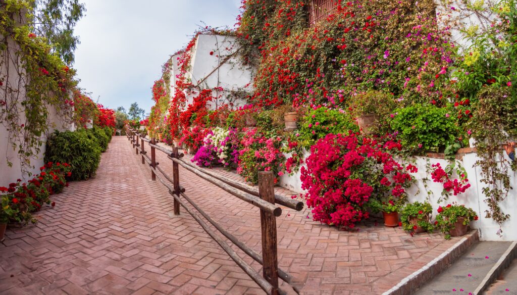 Entrance to Museo Larco